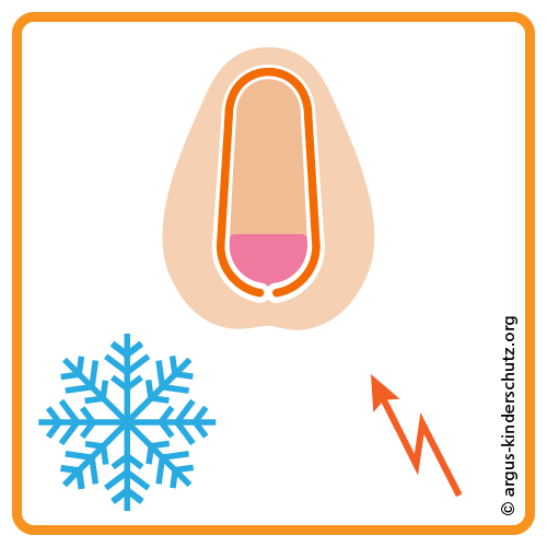 Icon Vorhaut Funktionen Schutz