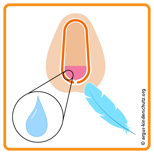 Icon Vorhaut Funktionen Sexualität